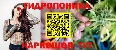 тгк Владимир
