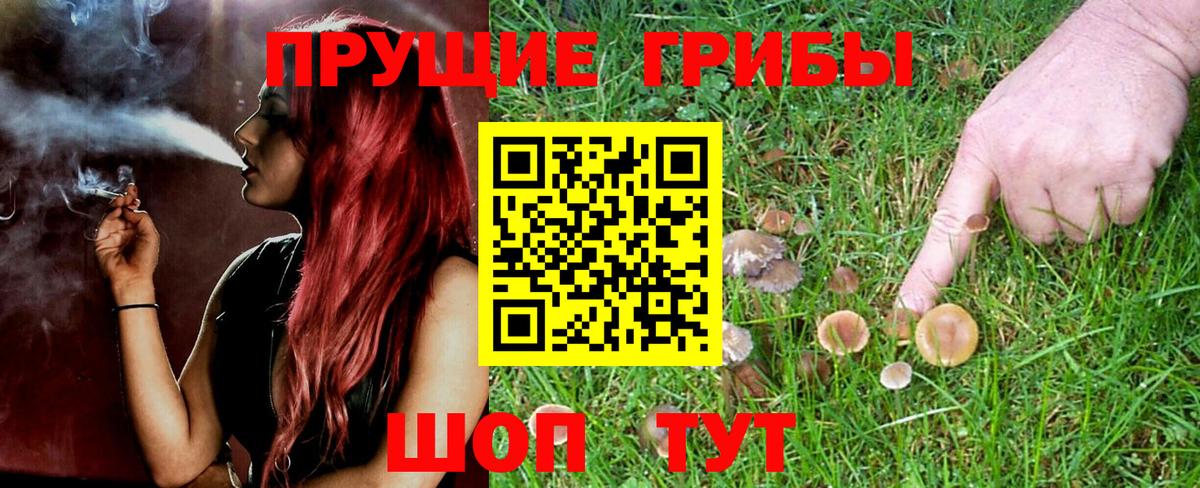 Галлюциногенные грибы мицелий  Вход с VPN  Богородск 